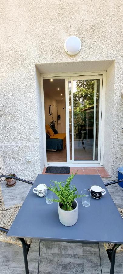 Studio Simone - Terrasse Et Jardin - Tv - Wifi Тулуза Екстер'єр фото